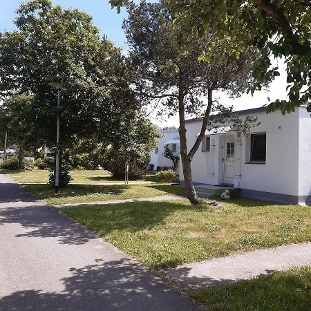 Ferienhaeuschen Kuestenwald Bei Warnemuende, Eigener Garten, Terrasse Mit Strandkorb, 400M Zum Strand Diedrichshagen  Kültér fotó