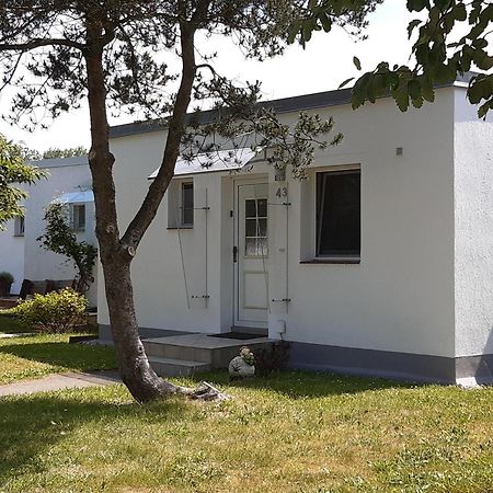 Ferienhaeuschen Kuestenwald Bei Warnemuende, Eigener Garten, Terrasse Mit Strandkorb, 400M Zum Strand Diedrichshagen  Kültér fotó