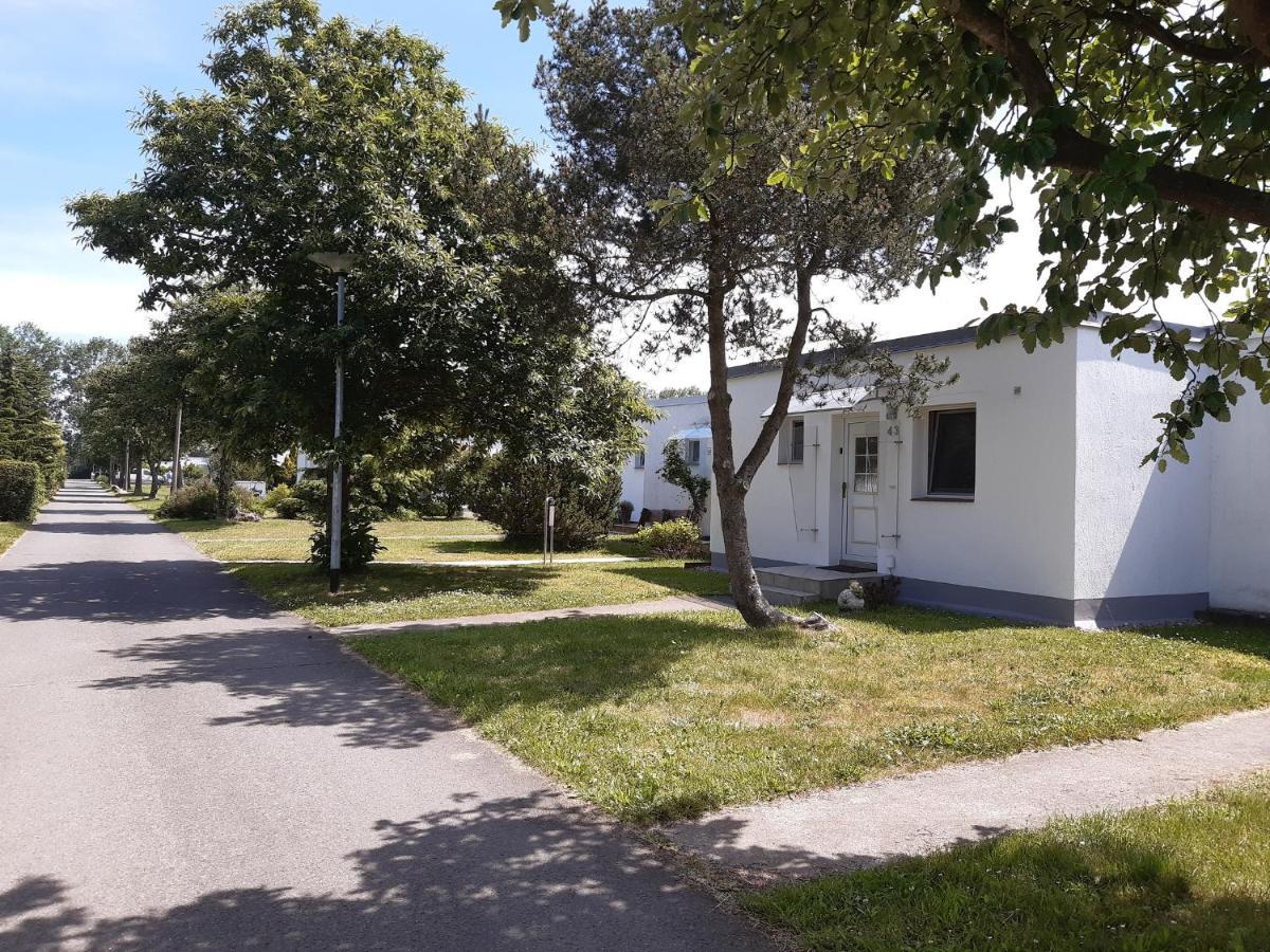 Ferienhaeuschen Kuestenwald Bei Warnemuende, Eigener Garten, Terrasse Mit Strandkorb, 400M Zum Strand Diedrichshagen  Kültér fotó