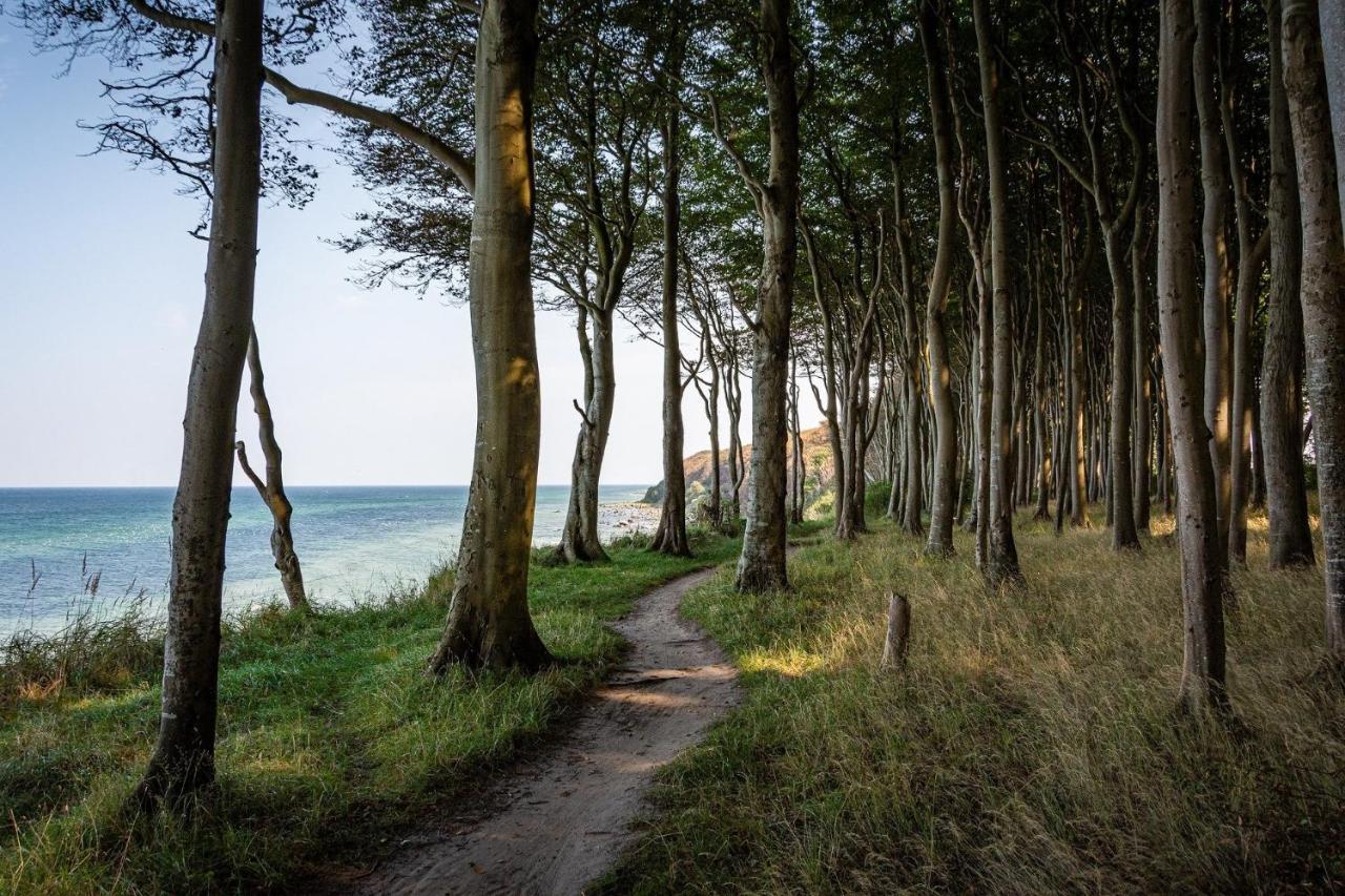 Ferienhaeuschen Kuestenwald Bei Warnemuende, Eigener Garten, Terrasse Mit Strandkorb, 400M Zum Strand Diedrichshagen  Kültér fotó